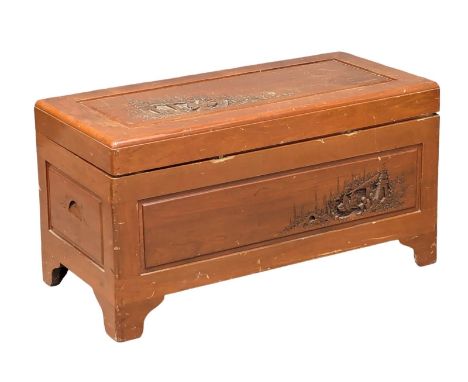 A Chinese camphorwood trunk. 93x46x50cm