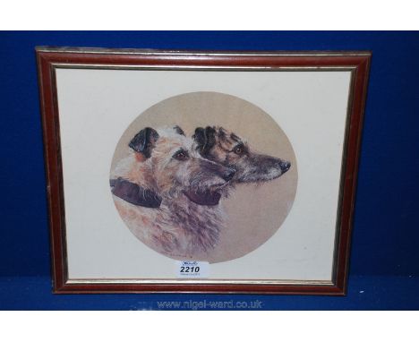 A framed Mary Browning Print of two lurchers