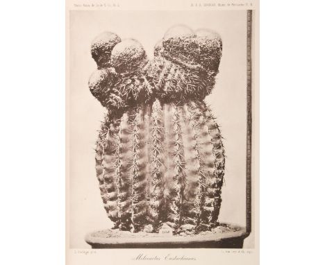 Suringar (W.F.R. &amp; Suringar, J Valckenier). Illustrations du Genre Melocactus, 3 parts in one, Leide: E.J. Brill, 1897-19