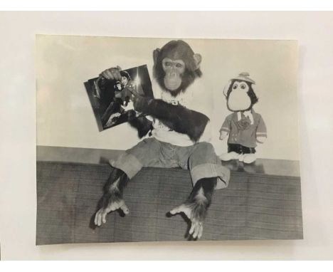 Michael Jackson 1980's Press Release Photographs by Pictorial Press x11 (includes four of Bubbles) plus a quantity of others 