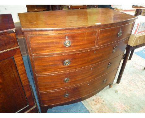 A bow fronted Mahogany circa 1900 Chest of three long and two short Drawers and having drop ring handles and standing on spla