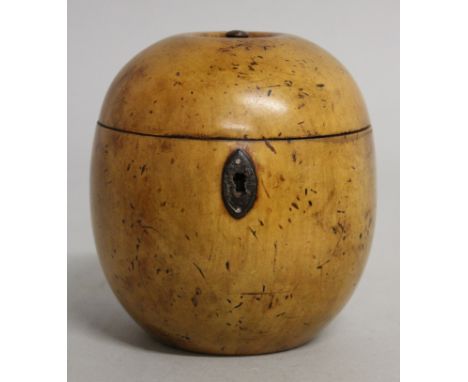 A GOOD APPLE TEA CADDY.  4ins diameter.