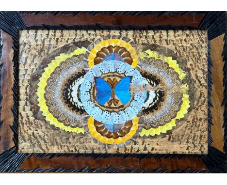 A 1920s/30s butterfly wing decorated panel with centre irridescent butterfly with radiating exotic wing design, in walnut mou