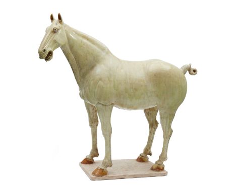 A rare and magnificent Chinese glazed pottery horse Tang Dynasty Powerfully modelled standing four square on a rectangular pl