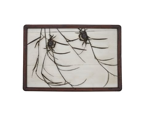 A pair of Chinese tiehua picturesQing dynasty, 18th/19th centuryThe first depicting willow branches, the second with a pair o