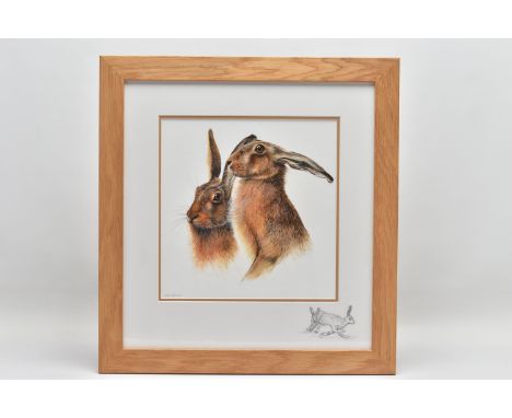 SUE WARNER (BRITISH CONTEMPORARY) 'HARES', a detailed study of two hares, signed bottom left, watercolour on paper, mounted, 