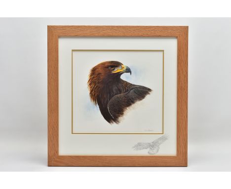 SUE WARNER (BRITISH CONTEMPORARY) 'GOLDEN EAGLE', a detailed portrait study of a bird of prey, signed bottom right watercolou