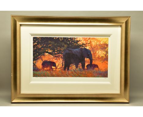 ROLF HARRIS (AUSTRALIAN 1930) 'BACKLIT GOLD' a limited edition print 57/195 depicting elephants, signed to lower margin, no c