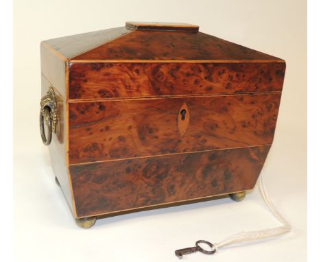 A Georgian burr wood sarcophagus shaped tea caddy with boxwood stringing, side drop handles on cast fruit basket mounts, the 