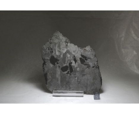 CAMPO DEL CIELO METEORITE 295gm Etched slice12cm x 10cmProvenance: - H. K. Meteorites. Uruguay