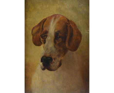 19th century portrait of a hound, unsigned oil on canvas, 35cm x 25cm Provenance:   Single owner collection