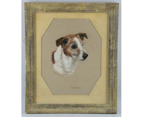 Mary Browning 'Mr Brown' portrait of a terrier  signed dated  gouache 1976  33cm x 26cmProvenance:   Single owner collection