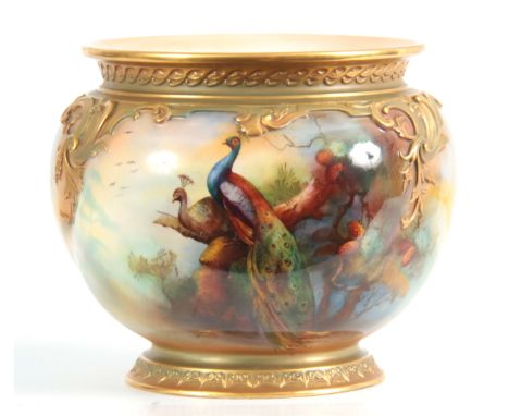  A SIGNED ROYAL WORCESTER JARDINAIRE of ovoid shape with gilt foot, the body painted with peacocks in a country woodland sett
