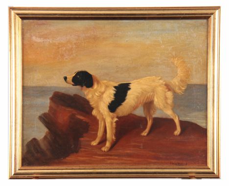 FILLIPO BRUZZI - OIL ON CANVAS portrait of a Gundog standing on rocks 40cm high, 50cm wide - signed gilt frame 