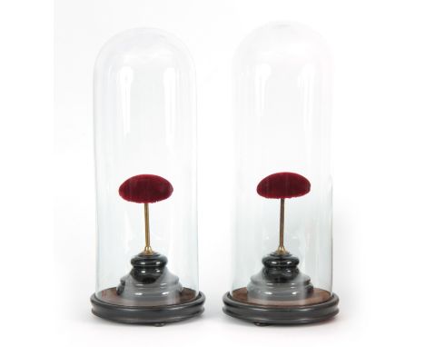 A PAIR OF LATE 19TH CENTURY CYLINDRICAL GLASS DOMES ON TURNED EBONISED BASES covering a pair of brass and velvet stands on ci