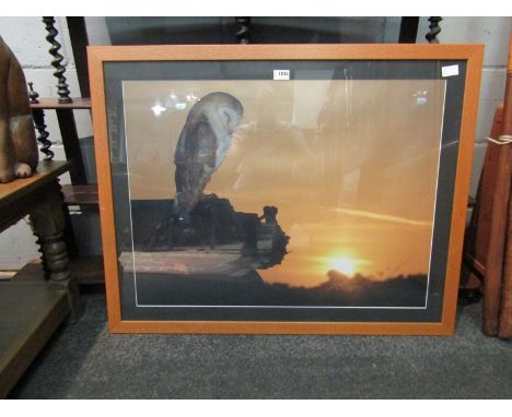 A framed print of barn owl at sunset