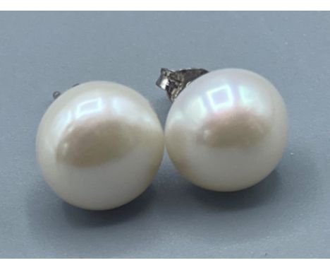 Pair of freshwater Pearl stud earrings on silver posts