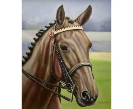 Jacob Hunt (British 1958-): Portrait of a Horse, oil on canvas signed 60cm x 50cm