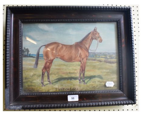 Olive Whitmore, a portrait of a horse, Switchback, oil on canvas, signed and inscribed, Dublin framer's label verso, 26 x 36 