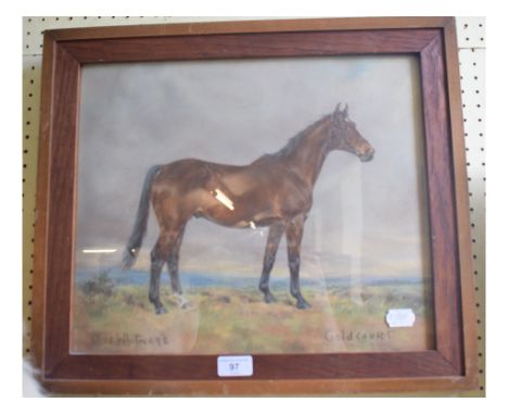 Olive Whitmore, a portrait of a horse Goldcourt, pastel, signed and inscribed, label verso inscribed: A portrait of 'Goldcour