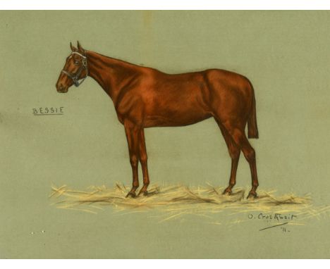 Olive Crosthwait, a portrait of a horse, Bessie, signed, inscribed and dated '11, 37 x 48 cm See illustration 