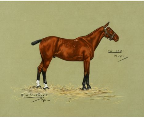 Olive Crosthwait, a portrait of a horse, The Cob, 16-yrs, mixed media, signed, inscribed and dated 1911, 40 x 50 cm See illus