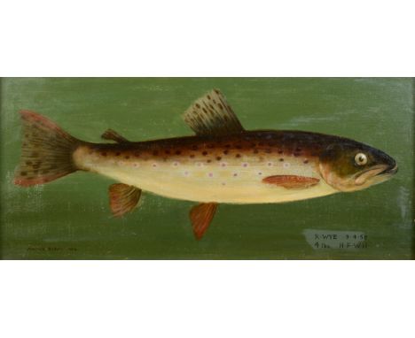 William Anstice Brown (1928-2007), a brown trout, oil on panel, signed and dated 1964, inscribed R. Wye 9.4.58, 4 lbs, H.F.W.