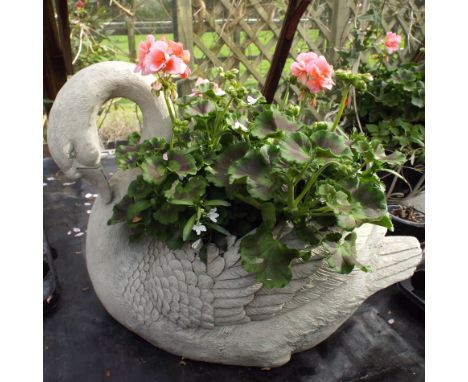 Antique stone effect swan shaped garden planter with salmon live plantings to include Geraniums
