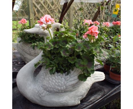 Antique stone effect swan shaped garden planter with salmon live plantings to include Geraniums