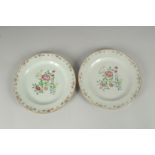 A PAIR OF 19TH CENTURY CHINESE FAMILLE ROSE PORCELAIN PLATES, 23cm diameter.