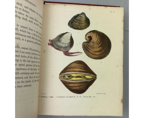 A COLLECTION OF BOOKS ON FOSSILS AND SHELLS (4) William Turton (1762-1835) Conchological Directory of British Islands, 17 pla