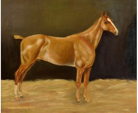 English School, 20th c - Portrait of a Stallion, oil on canvas, 49.5 x 60cm  Medium re-touched and unstable at right
