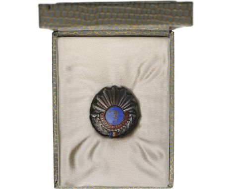 Breast Badge, 23x20 mm, Metal silvered, partially enameled, pin in the back, in small luxury case of issue. Rare! I R!