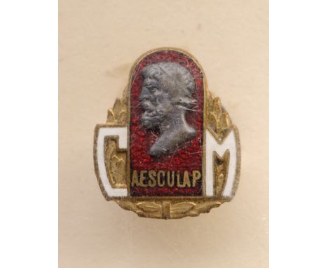 Medical "Aesculap" Breast Pin, 18x15 mm, enameled,with portrait of King Carol I, together with Promotion Document from Lieute