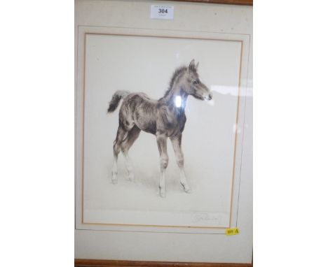 Sole Hope: an etching, Highland mare and foal, an etching of a foal, and an engraving of a tiger, in Oxford frame