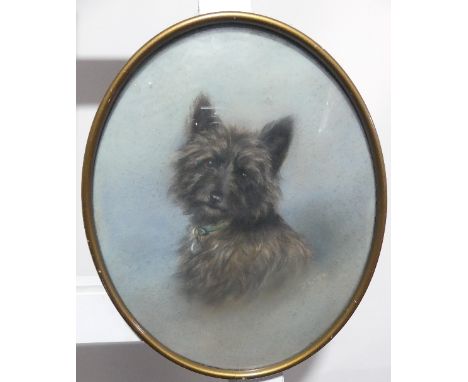 D. Tucker (20th century), "Paddy", oval pastel portrait of a dog, 37cm x 29cm, framed and glazed, together with original sale