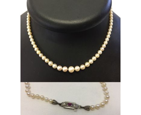 A 15" string of cultured pearls with a 14ct white gold clasp set with 2 diamonds and a ruby.