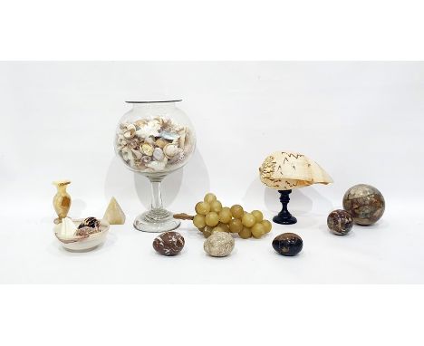 Large exotic shell on ebonised turned wood stand, large quantity of shells in glass pedestal bowl, variegated marble items an