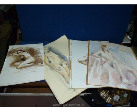 A portfolio containing sketch pads with nude studies, cat studies, watercolours by Cynthia Griffiths.