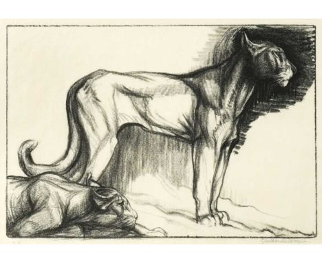 § Elsie Henderson (1880-1967) Mountain lionssigned 'EHenderson.' (lower right)lithograph21.5 x 30.5cm