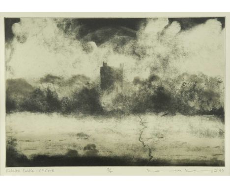 § Norman Ackroyd CBE, RA (1938-) Kilcrea in Rain - County Corksigned and dated 'Norman Ackroyd 02' (lower right); numbered 13