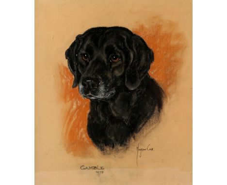 Marjorie Cox (British, 1915-2003), 'Gamble' portrait of a black Labrador, signed and dated 1973, pastel on paper, 40cm x 34cm