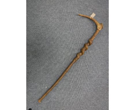 A walking stick with antler handle 