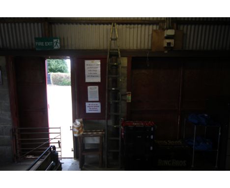 A wooden fruit pickers ladder