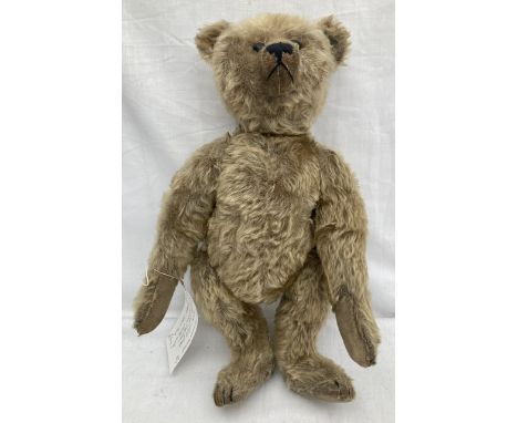 Steiff: An original, circa 1908, Steiff bear. Gold mohair, boot button eyes, shaved muzzle, vertical stitched nose and smile,
