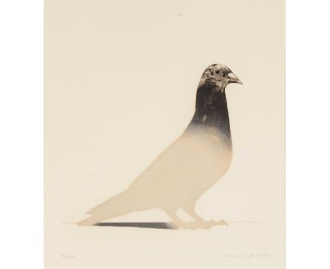 ‡ BRYAN ORGAN (British b.1935) limited edition (62/75) colour lithograph - 'Pigeon', signed and dated 1976, 26 x 23cmsProvena