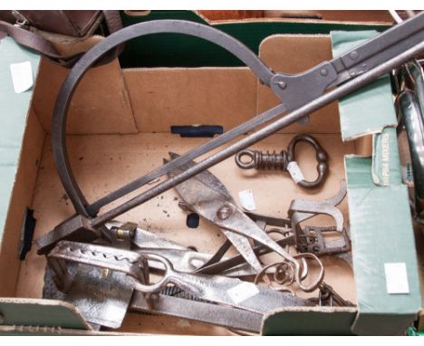 An interesting collection of antique cast iron tools, including a Gin fox trap, a branding's iron, a Mole trap, a Thatcher's 