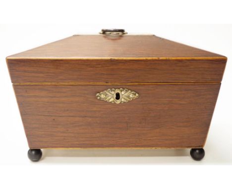 William IV casuarina stationery box of sarcophagus shape on ebonised ball feet, original ring handle top, 30cm wide, 15cm dee