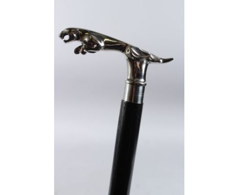 A JAGUAR HANDLE WALKING STICK. 36ins long.