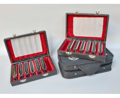 A Collection of 19 Harmonica Mouth Organs